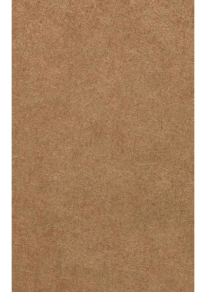 Boş Kraft Kartlar 5 x 8 cm