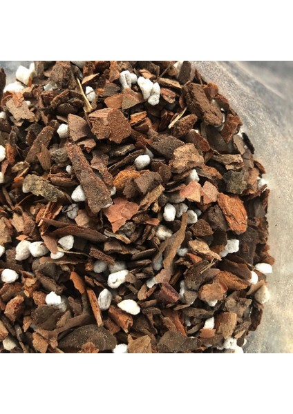Tarsol Torf Orkide Toprağı Özel Formül 10 Lt