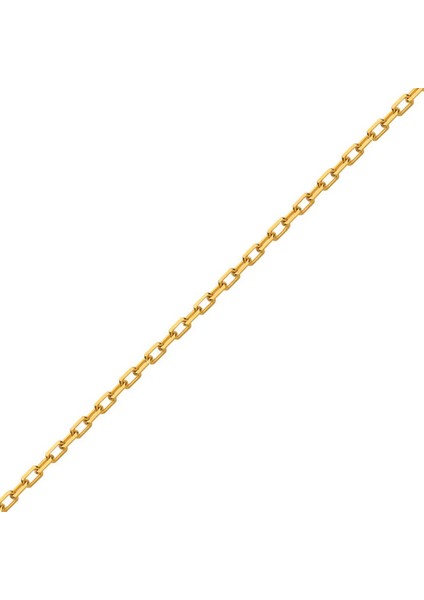 Forse 22 Ayar Altın Zincir 45 cm