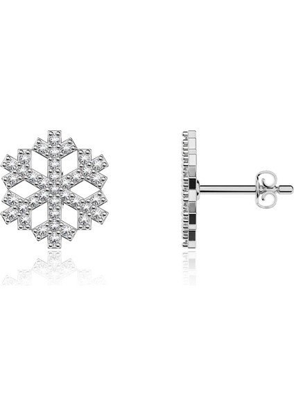 Gümüş Kar Tanesi Küpe