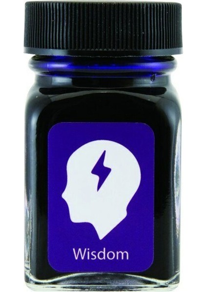 Emotions Wisdom Purple 30 ml Şişe Mürekkep G309AM