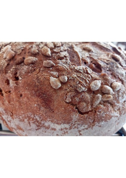 Seymen Alman Ay Çekirdekli Çavdar Ekmeği 950 gr - Roggenbrot Fiyatı