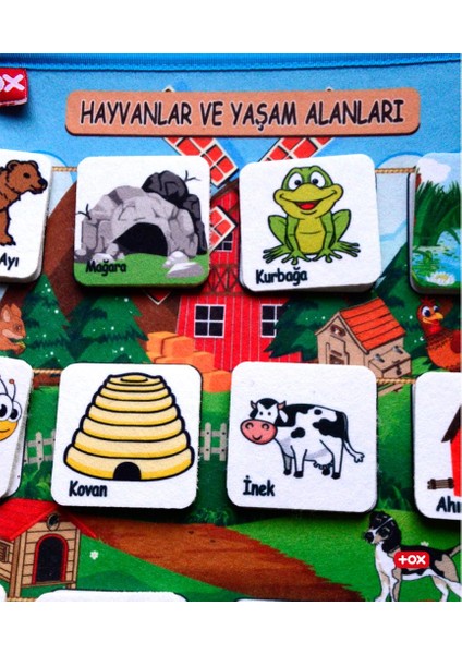 ( Hayvanlar ve Yaşam Alanları ) Keçe Cırtlı Aktivite Sayfası - Çocuk Etkinlik , Eğitici Oyuncak