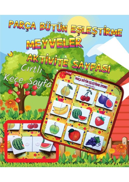 ( Meyveler ) Parça - Bütün Eşleşmeler Keçe Cırtlı Aktivite Sayfası - Çocuk Etkinlik , Eğitici