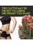 Hoodia Slimming Firming Gel 150 ml Hoodia Kaktüsü 2 Adet + 2 Adet Keto Weight Loss 2