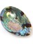 Abalone Shell Deniz Kabuğu 2