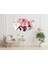 Anime Mdf TABLO-0097 3