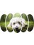 Köpek Mdf TABLO-2654 1