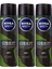 Men Deep Dimension Aktif Karbon Amazonia Erkek Deodorant 150 ml 3 Adet 1