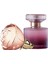 Volare Edp 50ML Bayan Parfüm-Amber Elixir Mystery Edp 50ML Bayan Parfüm 1