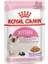 Kitten Kuru Kedi Maması 2kg 1