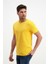 Erkek Sarı Yıkamalı Basic T-Shirt 3