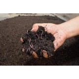 Solucan Gübresi 10 kg Organik Gübre