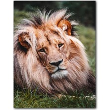 Caka Tablo Ahşap Tablo Çayırdaki Yorgun Aslan Kral