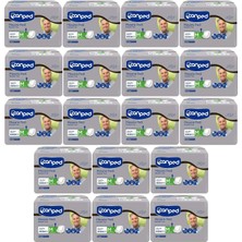 Canped Mesane Pedi Klasik Erkek M-Orta 216 Adet
