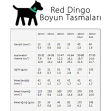Red Dingo Flanno Desenli Lime Köpek Boyun Tasması 25MM