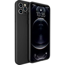 Case 4U Apple iPhone 12 Pro Max Kılıf Painting TPU Case Siyah