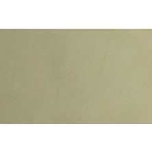 Jotun Green Tea 8493 Fenomastic Güzel Evim Mineral 1 Lt