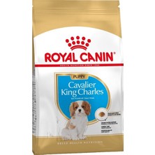 Royal Canin Cavalier King Charles Junior Yavru Köpek Maması 1,5 kg Idili