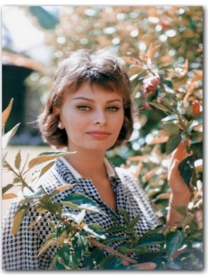 Caka Tablo Ahşap Tablo Sophia Loren Portre