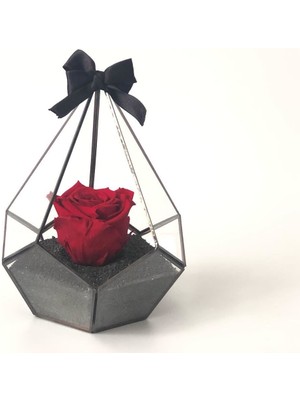 Rose Armor Xl Kırmızı Solmayan Gül