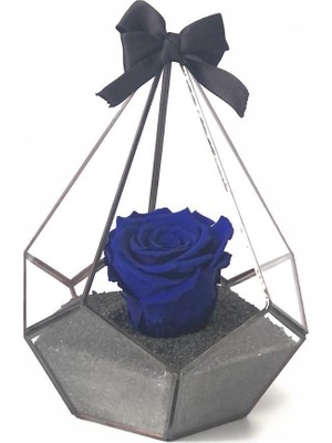 Rose Armor Xl Mavi Solmayan Gül