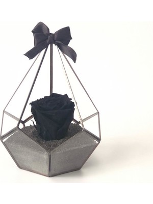 Rose Armor Xl Siyah Solmayan Gül