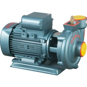 Slg3 1,5hp 220 V Monoblok Elektropomplar