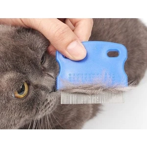 Dream Plus Kedi Köpek Renkli Pire Tarağı