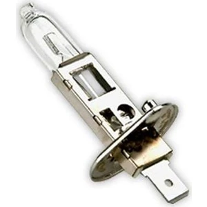 12V H1 55W Standart Halogen Ampul