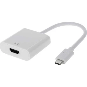 PM-18231 USB Type-C To HDMI Çevirici Kablo