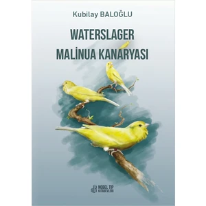 Waterslager Malinua Kanaryası - Kubilay Baloğlu