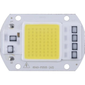 Beyaz 220 V Projektör Cob LED 50 W Driver Çipli