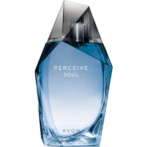 Perceive Soul Erkek Parfümü 100 ml