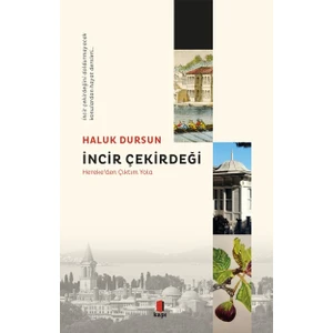 Incir Çekirdeği - Haluk Dursun
