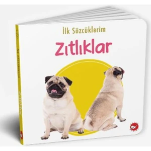 İlk Sözcüklerim - Zıtlıklar