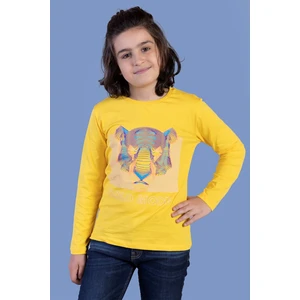 Toontoy Kids Toontoy Erkek Çocuk Kabartma Baskılı Tişört