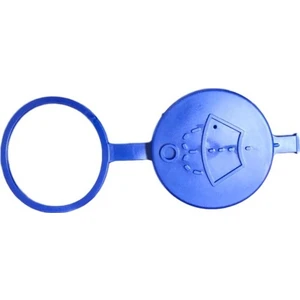 Citroen  C5 Silecek Su Depo Kapağı 643230