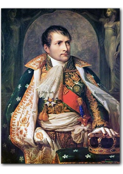 Ahşap Tablo Napoleon Bonaparte Tahtta Tacı Ile