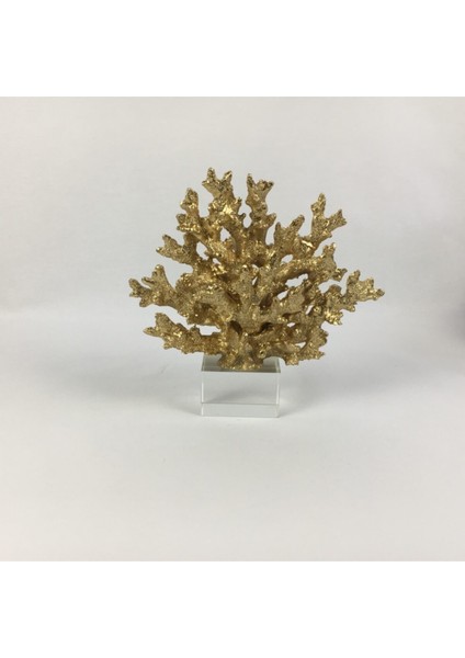 Kristal Kaideli Gold Mercan