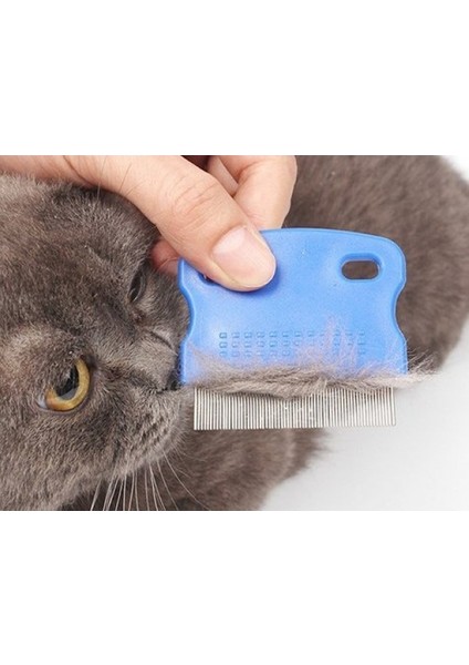 Kedi Köpek Renkli Pire Tarağı