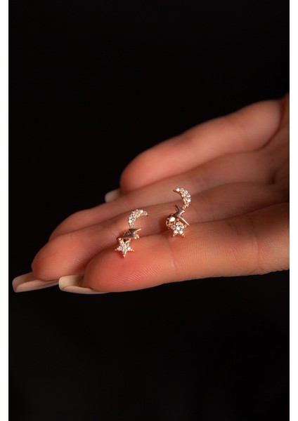 Ay Yıldız Küpe 925 Ayar Gümüş Zirkon Taşlı Rose Küpe modelleri
