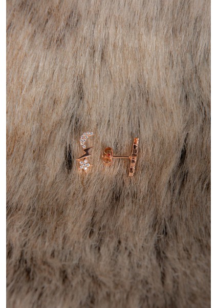 Ay Yıldız Küpe 925 Ayar Gümüş Zirkon Taşlı Rose Küpe fırsatları