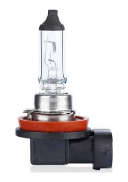 12V H9 65W Standart Halogen Ampul