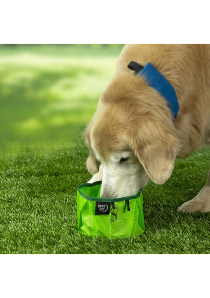 Raddog Katlanabilir Mama Kabı - Köpek Mama Kabı fiyatları