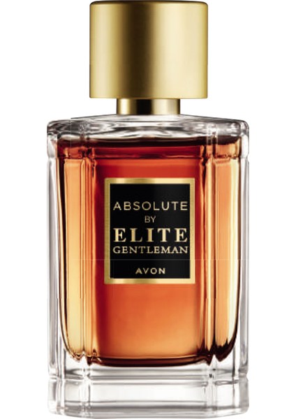 Perceive ve Absolute By Elite Gentleman Erkek Parfüm Paketi