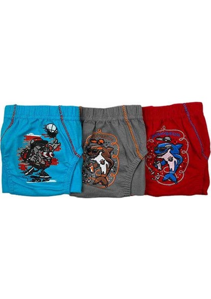 0138 Erkek Çocuk Renkli Slip Külot 6 Adet modelleri