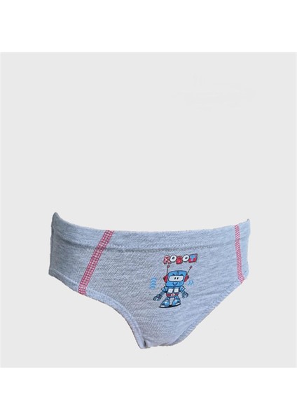 Erkek Çocuk Parça Baskılı Likralı Slip Külot 6 Adet - 1019 modelleri
