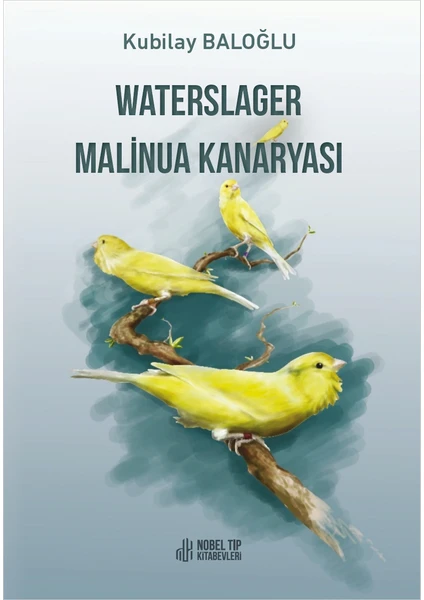 Waterslager Malinua Kanaryası - Kubilay Baloğlu