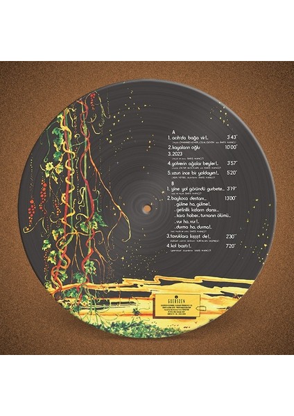 Barış Manço 2023 Picture Disc - Plak